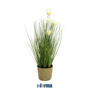 Informa Sleep 180X200X30 cm Aloe Ortho I I Kasur Spring Pocket In Box