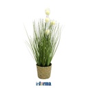 Informa Sleep 180X200X30 cm Aloe Ortho I I Kasur Spring Pocket In Box