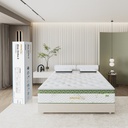 Informa Sleep 160X200X30 cm Aloe Ortho I I Kasur Spring Pocket In Box