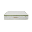 Informa Sleep 160X200X30 cm Aloe Ortho I I Kasur Spring Pocket In Box