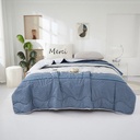 Informa 210X210 cm Bed Cover Microfiber Xavi