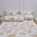 Informa 120X200 cm Set 3 Pcs Seprai Microfiber Whit