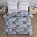 Informa 210X210 cm Bed Cover Microfiber Walt
