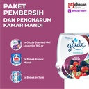 Bebek Paket Pembersih dan Pengharum Kamar Mandi / penghilang bau toilet