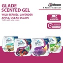 Glade Scented Gel 180gr Pengharum Kamar mandi Pewangi
