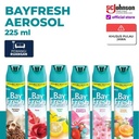 Bayfresh Aerosol 225ml Pewangi Ruangan Pengharum Ruangan