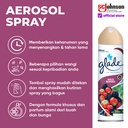 Glade Aerosol Pengharum Ruangan Wild Berries 225ml