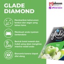 Glade Diamond Spring Apple 80mL