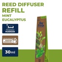 Bayfresh Reed Diffuser Refill Pengharum Ruangan Mint Eucalyptus