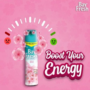 Bayfresh Aerosol 225ml Pewangi Ruangan Pengharum Ruangan