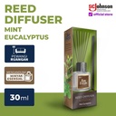 Bayfresh Reed Diffuser Pengharum Ruangan & Refill Mint Eucalyptus