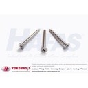 Tapping Screw FH M3 x 20 (#4 x 3/4") stainless steel A2 | Sekrup - 1 BOX (2.000 pcs)