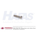 Machine Screw / Sekrup, Baut JP SS M3 x 8 (stainless steel)