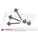 Sekrup Drilling Wing #6.2 x 50 Dacromet (Polycarbonate Screw), ECERAN