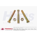 Baut & Mur_ B/N M14x70, M14 x 70 - P1.50 MF (kuning), Half