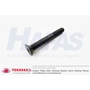 Flat Socket Cap Screw M24 x 120 - P3.00 (Baut Flat L,Countersunk) Half