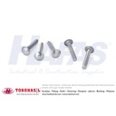 Baut CB M8x25, B/O CB M8 x 25 - A2 (stainless steel)