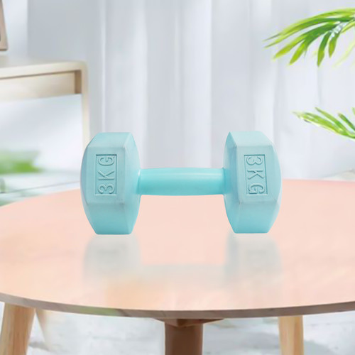 Dumbbell / Barbel Mini / Barbel Pria Wanita / Barbel Multifungsi 1 / 3 / 5 / 10 Kilogram 1 Pcs - 1 Kg