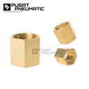 3/8" Female Thread Straight Fitting Connector Sock Drat Nepel Brass Socket Nipple Drat Dalam Kuningan Size 3/8 x 3/8 Inch