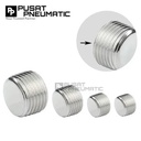 Plug 01 Male Thread Fitting End Plug Connector Fitting Pneumatic Baut L Tanam Penutup Drat Size 1/8" Inch