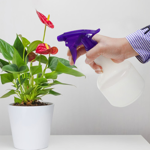 Kenmaster Botol Sprayer - 500ML / Botol Semprotan / Spray Penyiram Tanaman / Semprotan Tanaman / Semprotan Burung / Alat Semprotan / Spray Bottle / Bottle Garden Tools / Alat Berkebun