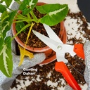 Kenmaster Gunting Dahan Ranting - KM905 / Gunting Tanaman / Gunting Taman / Gunting Rumput / Gunting Daun / Gunting Batang Bunga Buah / Pruning Shears / Alat Berkebun