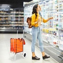 Hand Trolley Cart Alumunium Plus Bag Kt-3002 Orange - Tolli Serbaguna