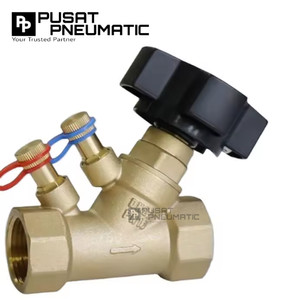 1" Static Balancing Valve Bronze Double Regulating Balance Flow Meter Thread Connection PN20 DN 25 Size 1 Inch