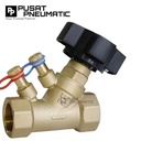 1" Static Balancing Valve Bronze Double Regulating Balance Flow Meter Thread Connection PN20 DN 25 Size 1 Inch