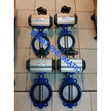 Actuator Butterfly Valve Disc ss 304 CI 12" Double Acting
