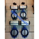 Actuator Butterfly Valve Disc ss 304 CI 12" Double Acting