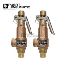 1" Safety Valve Kuningan With Handle 10 Bar Size 1 Inch