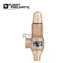1" Safety Valve Kuningan Non Handle 10 Bar Size 1 Inch