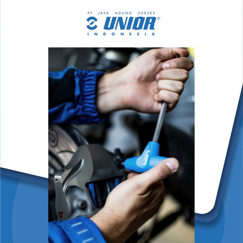 UNIOR Set of T-handle hex wrenches in carton box - 193HXCS