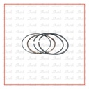 Ring Piston Engine SP 200