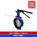12" inch butterfly valve cast iron