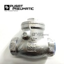Swing Check Valve One Way Valve Stainless Steel 316 3" INCH