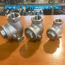 Swing Check Valve One Way Valve Stainless Steel 316 4" INCH