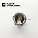 check valve angin 1/4" hexagonal