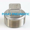 Plug / Square Plug Stainless steel 304 1"