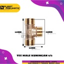 Nepel Tee / Tee kuningan Male drat 1/2"