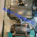 Actuator Ball Valve 3pc Body SS 1/4" Double Acting