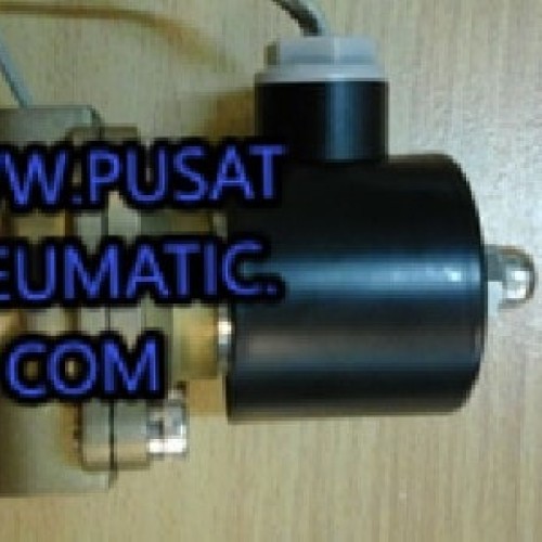 Solenoid Valve kuningan 2 way 1/2" 2w-160-15 220v ac/dc24