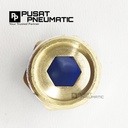 FITTING LURUS MALE PNEUMATIC SELANG 14MM DRAT 3/8"
