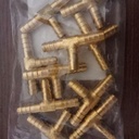 Nepel Selang Tee / Hose nipple Tee 1/4" Kuningan