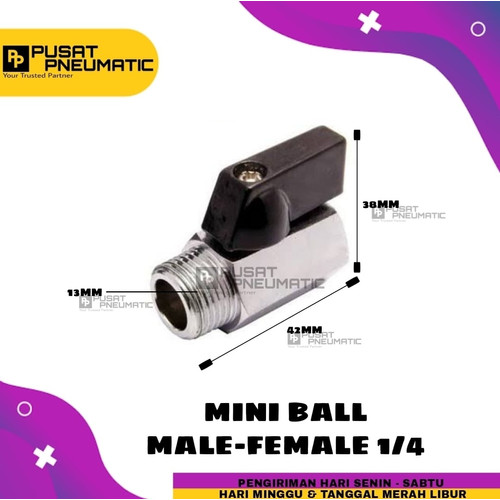 Mini Ball valve Male Female 1/4 inch