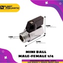 Mini Ball valve Male Female 1/4 inch