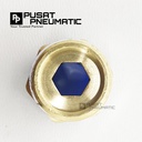 FITTING LURUS MALE PNEUMATIC SELANG 16MM DRAT 1/2"
