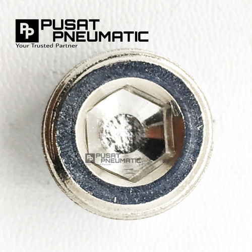 PLUG 1/4" Baut L ( 6mm) Baut L tanam Ukuran 1/4"(m10) Penutup Drat