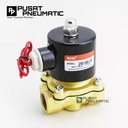 Solenoid Valve kuningan 2 way 2" Normal Close ac220/dc24